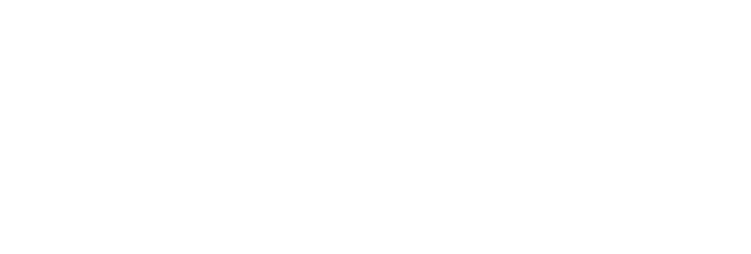 logo google kundenrezensionen white